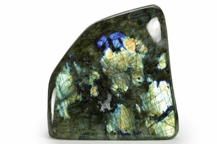 Flashy Free-Standing Polished Labradorite - Madagascar #364129